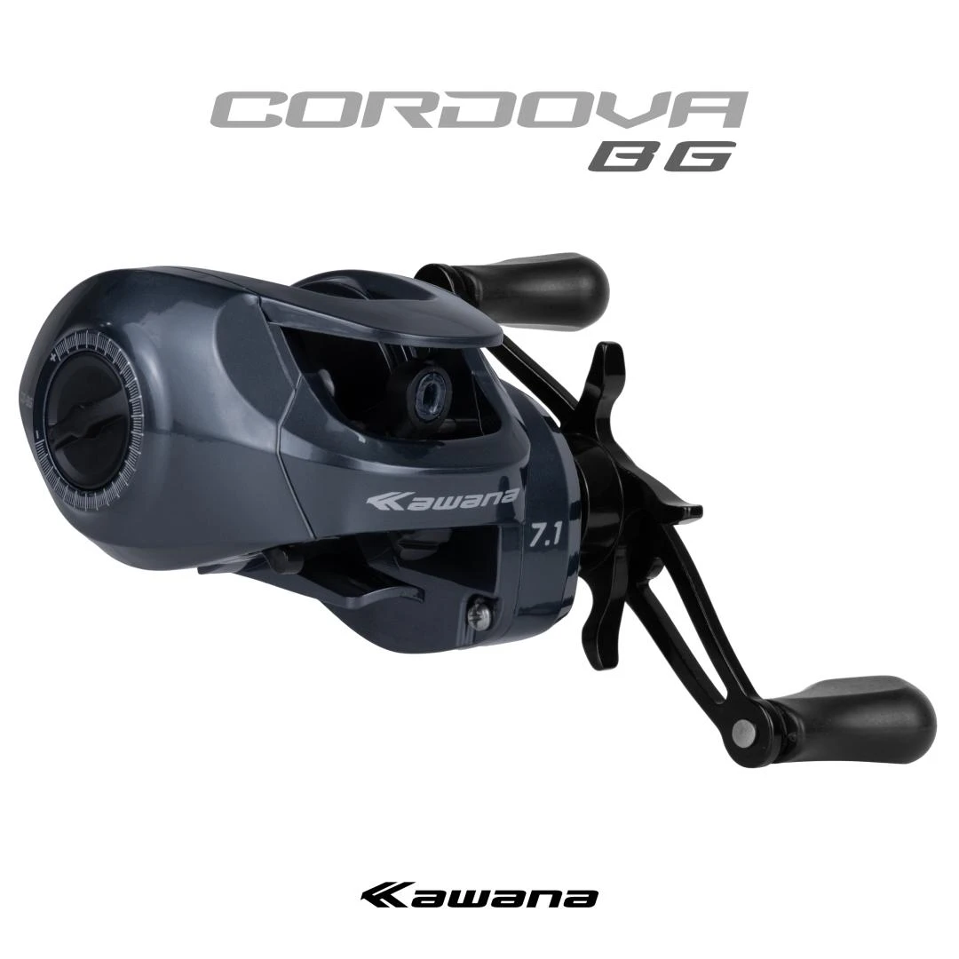 Kit  20 PÇS CORDOVA BG 