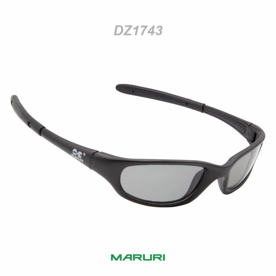 Óculos Polarizado DZ1743