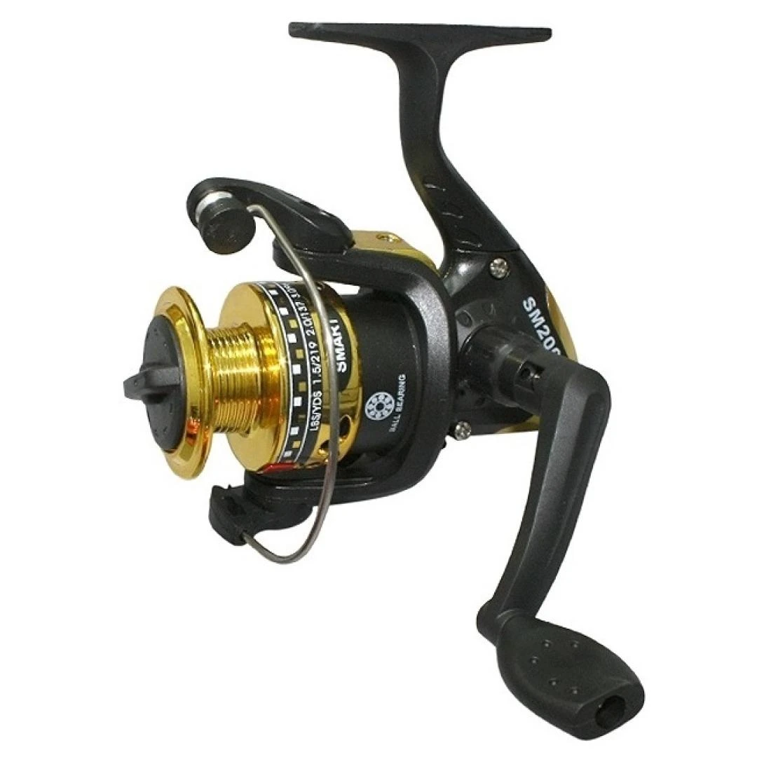 SMART 200 1 Rolamento