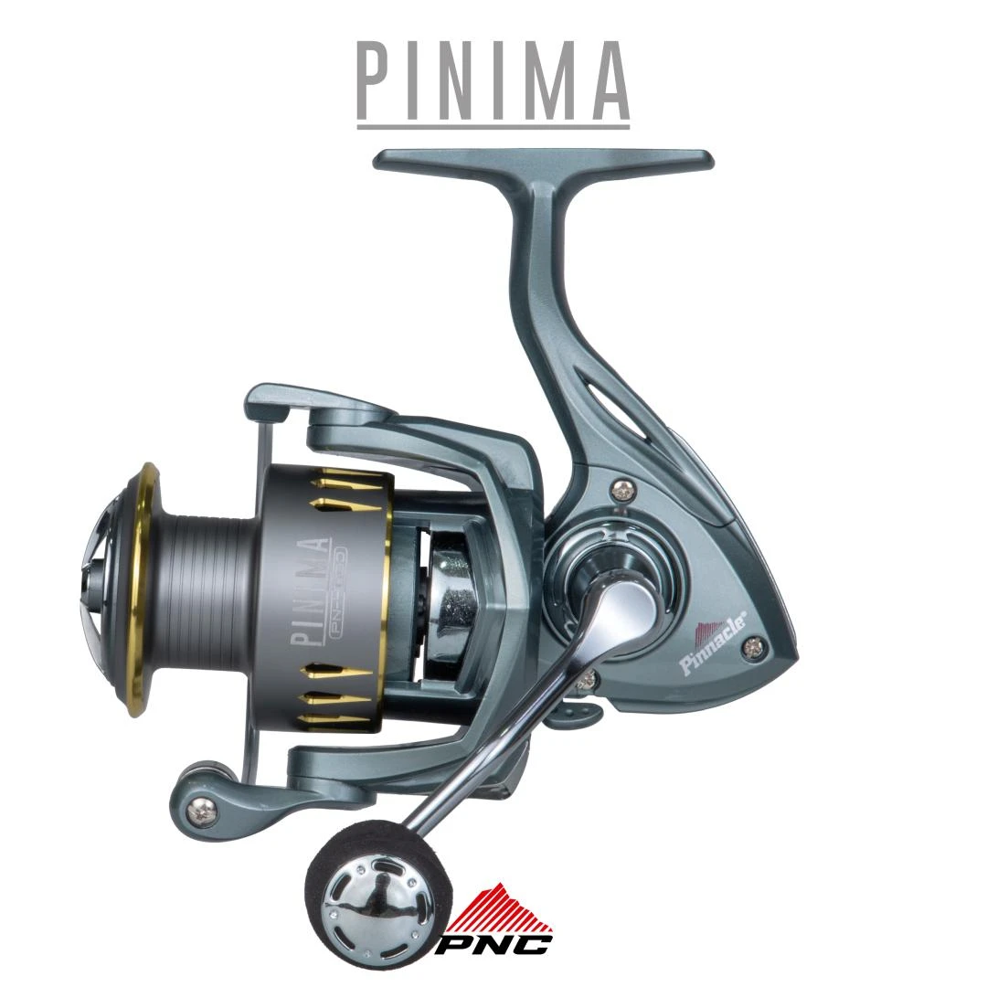 PINIMA - Pinnacle 7 Roalementos