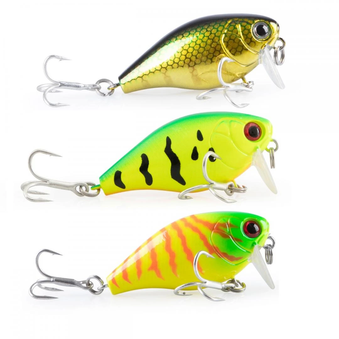 Isca Reboleition 50F